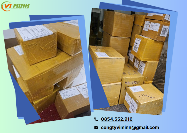 Why Choose ViMinh Express for Shipping to Singapore?