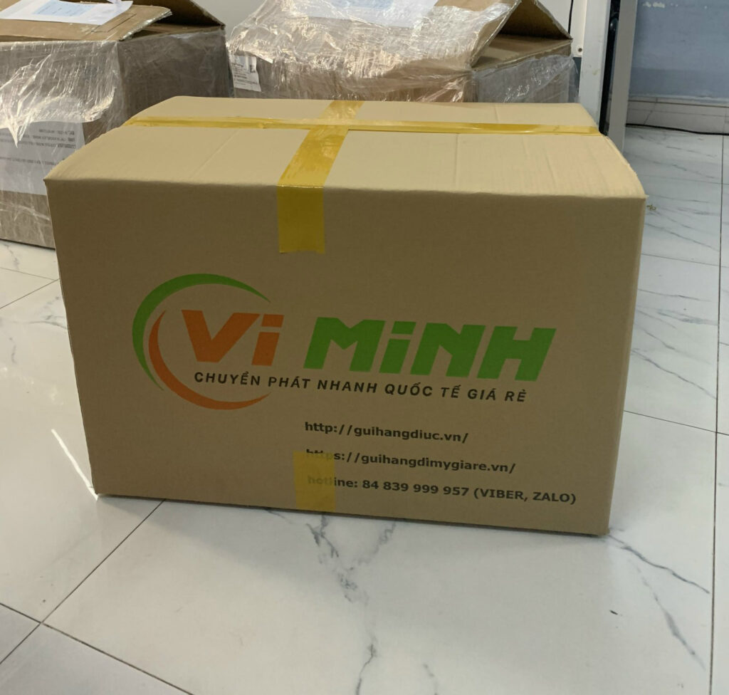 vi-minh-anh-1