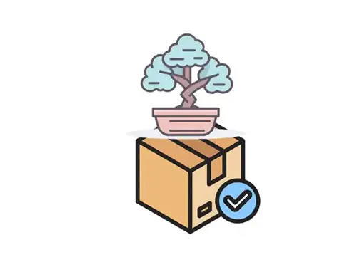 Bonsai và cây cảnh