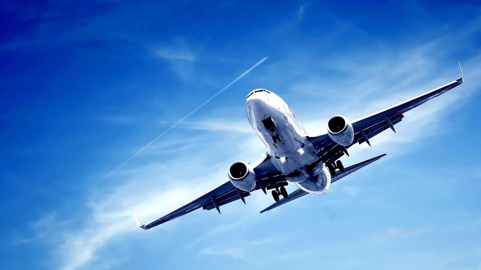 Cước hàng đặc biệt (SCR-specific cargo rate) trong vận chuyển hàng hóa bằng đường hàng không