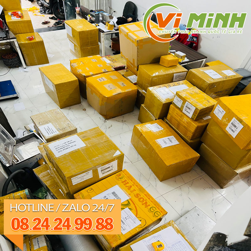 Gửi Hàng Đông Lạnh Tại Viminh Express